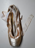 McBride, Patricia - Signed Single Pointe Shoe