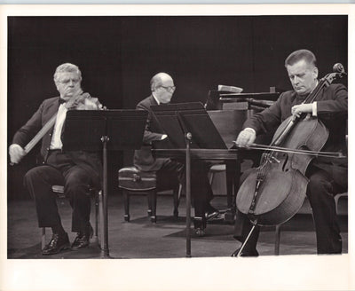 Suk Trio