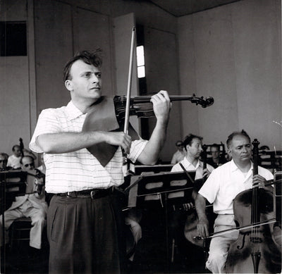 Photograph 7