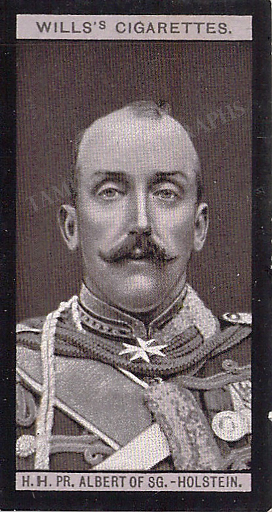 Albert Duke of Schleswig-Holstein Autograph Letters Lot – Tamino