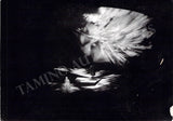 Bayreuth Festival 1973-75 - Photo Lot