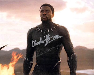 Boseman, Chadwick - Signed Photograph in "Black Panther"