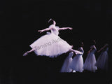 Kirov Ballet - Set of 16 Original Photographs "Chopiniana"