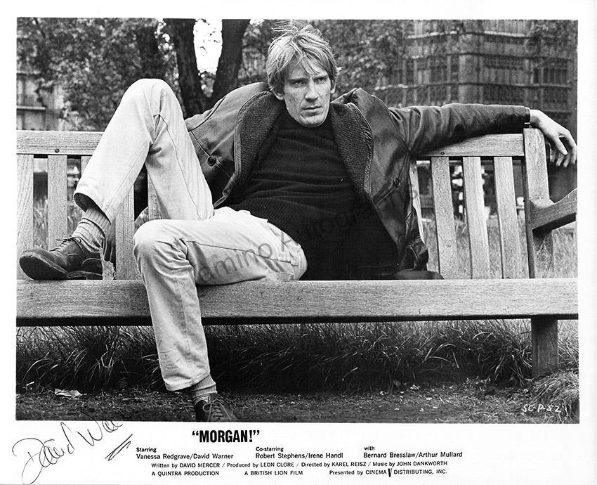 Warner, David - Signed Photo in "Morgan"