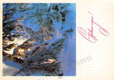 Shostakovich, Dimitri - Signed Greetings Card 1969