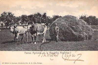 Coppee, Francois - Signed Postcard 1904