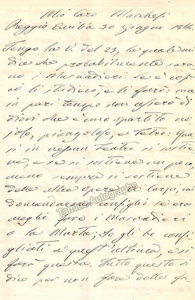 Guicciardi, Giovanni - Autograph Letter Signed