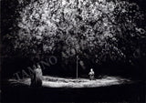 Bayreuth Festival Photo Collection 1975