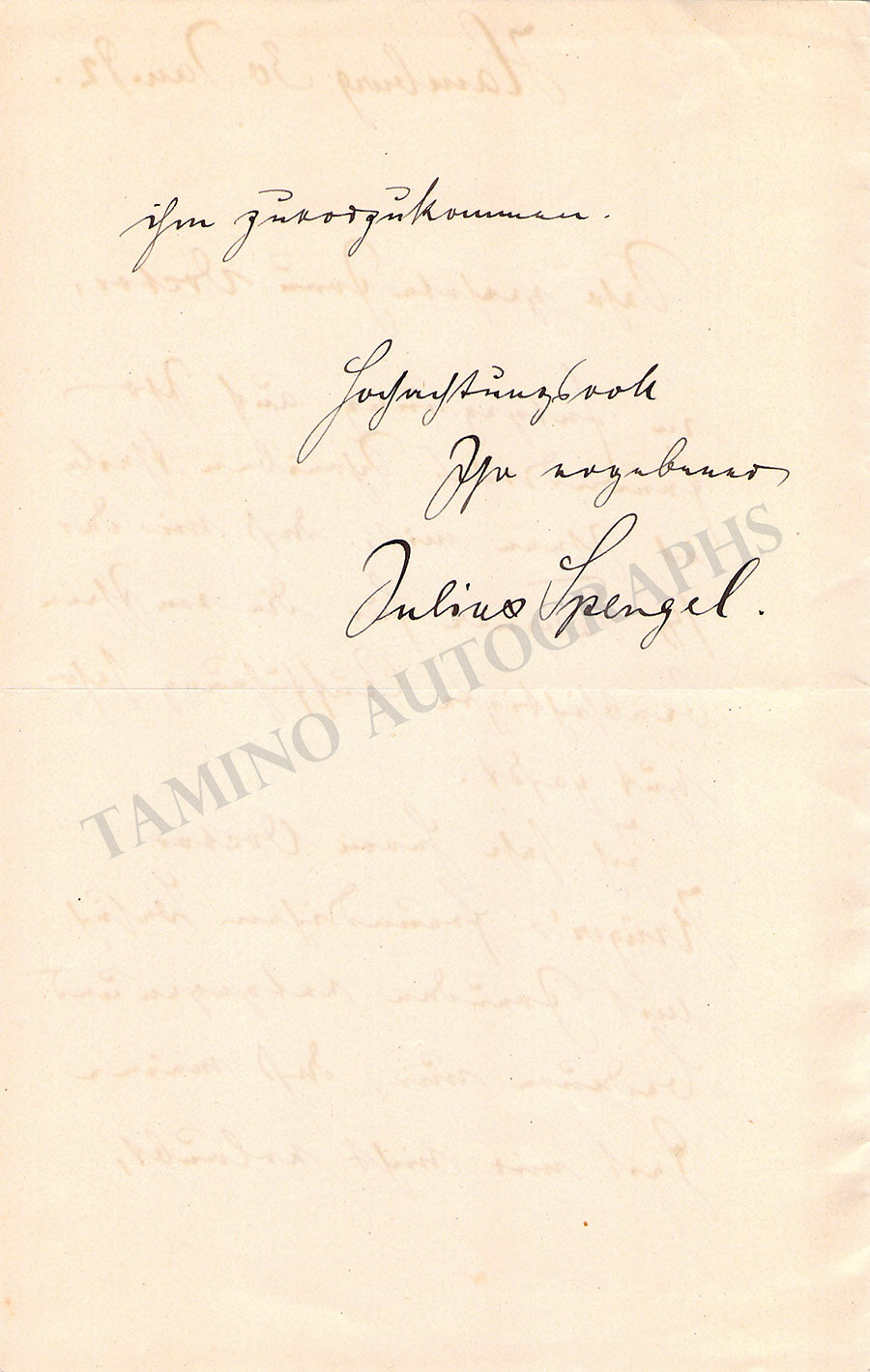Spengel, Julius - Autograph Letter Signed 1882