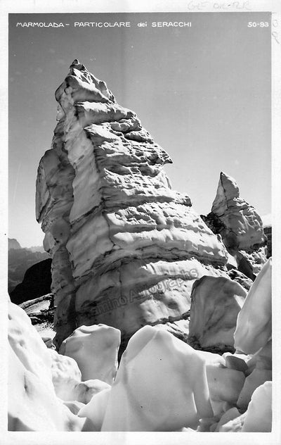 Grey, Madeleine - Signed Postcard