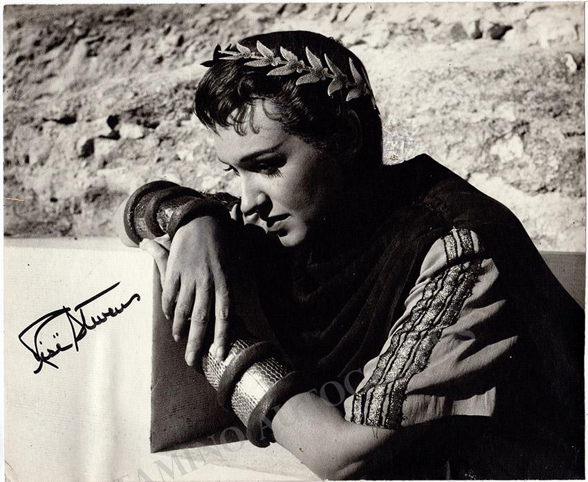 Stevens, Rise - Large Signed Photo Lot - Tamino