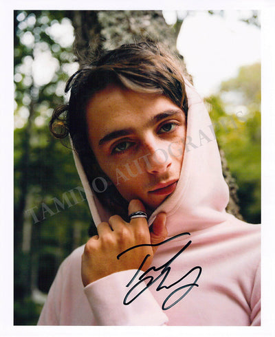 Chalamet, Timothee - Signed Photograph