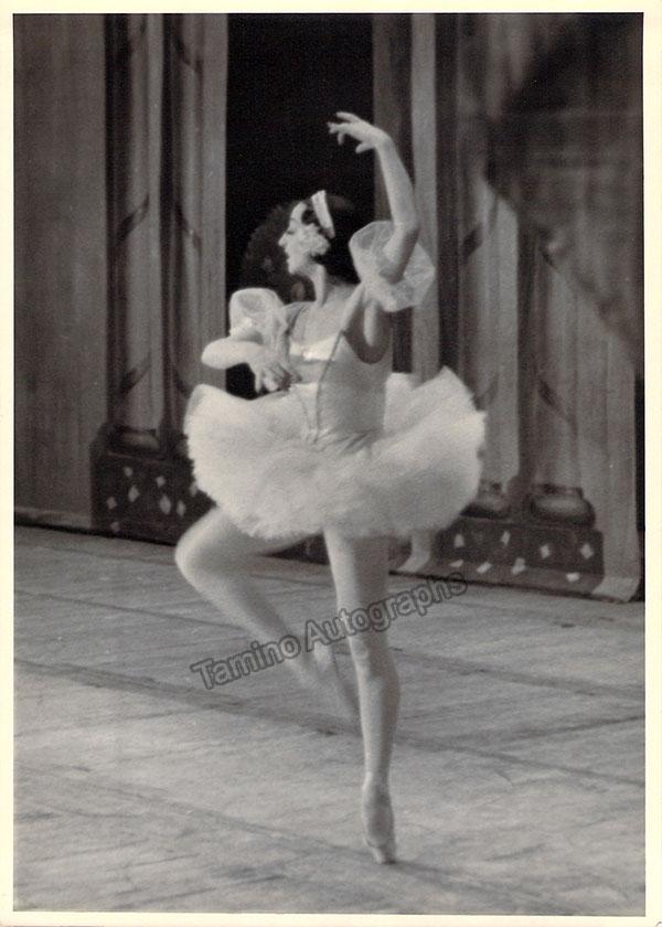 Ballet Dancers - Lot of 25 Unsigned Photos - Tamino