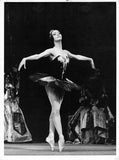 Ballet Dancers - Set of 6 Unsigned Photos