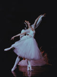 Kirov Ballet - Set of 13 Original Photographs "Chopiniana"