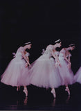 Kirov Ballet - Set of 13 Original Photographs "Chopiniana"