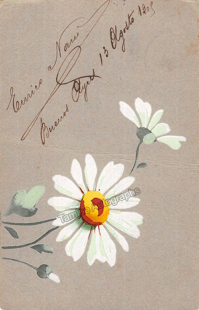 Nani, Enrico - Signed Postcard 1909