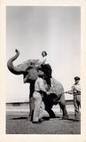 Pons, Lily - Lot of 74 Unsigned Photos and 1 Signed Photo part 5