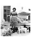 Ponselle, Rosa - Lot of 61 Unsigned Photos